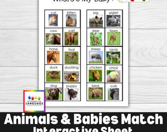 Animals and Baby Animals Matching Activity, Where&#39;s My Baby? Photographs, Learn Baby Animal Names, Autism + Kindergarten PDF Printable