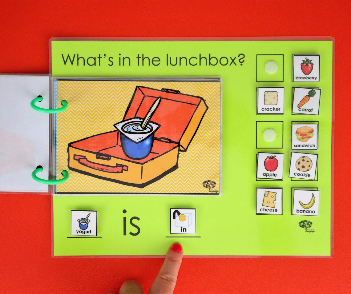 What's In the Lunchbox Interactive Book and Simplified Etsy