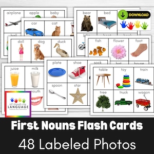 48 個の名詞の写真フラッシュ カード、幼児期によく使われる物、言語発達の遅れ、自閉症、PDF 印刷可能