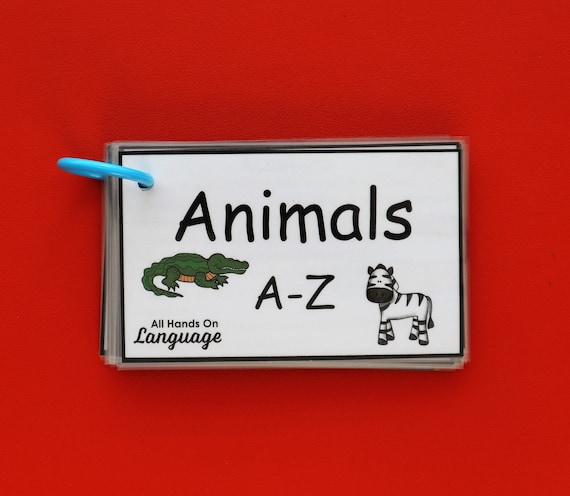 Animaux de A à Z, 28 cartes Flash avec des activités pour alphabétiser,  trier et décrire, préscolaire et autisme PDF imprimable -  France