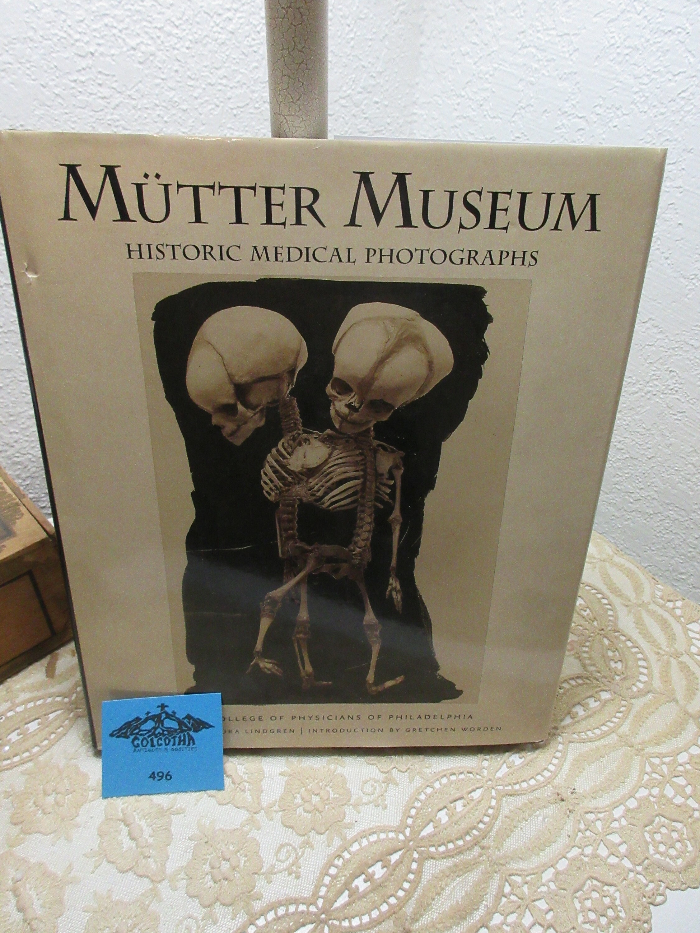 Colored Pencils – Mutter Museum Store