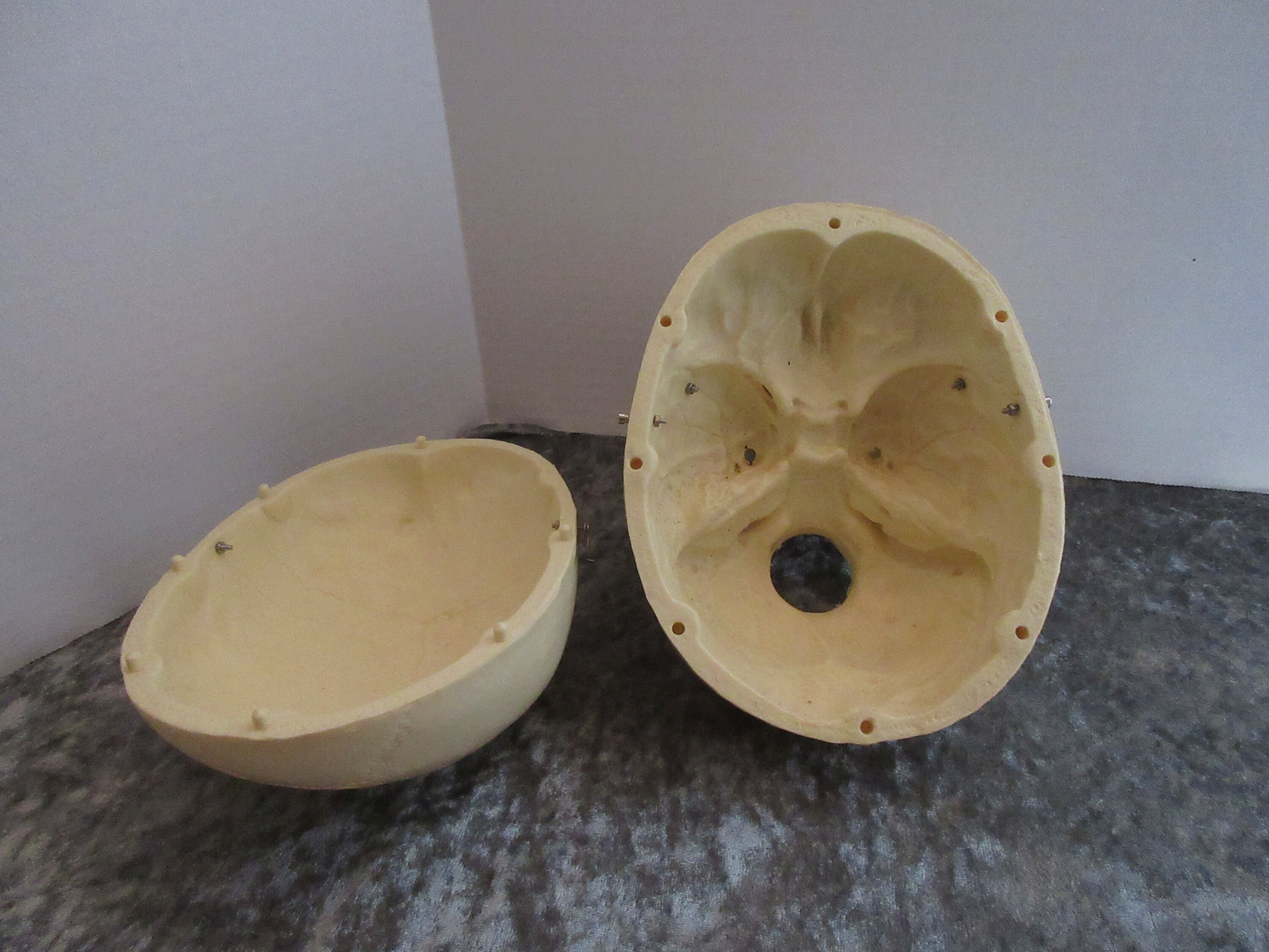ECYC 1:1 RéSine ModèLe De CrâNe Humain Halloween Accessoires De