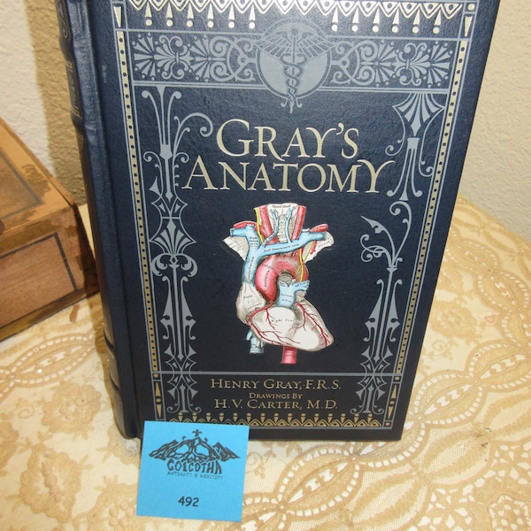 Grays Anatomy Book - Etsy