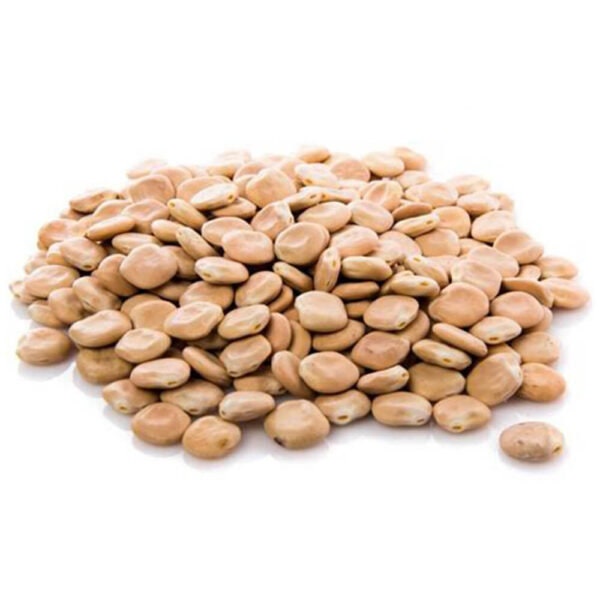 White Lupinus Lupine Beans Alba Seeds Dried Lupini Free Shipping