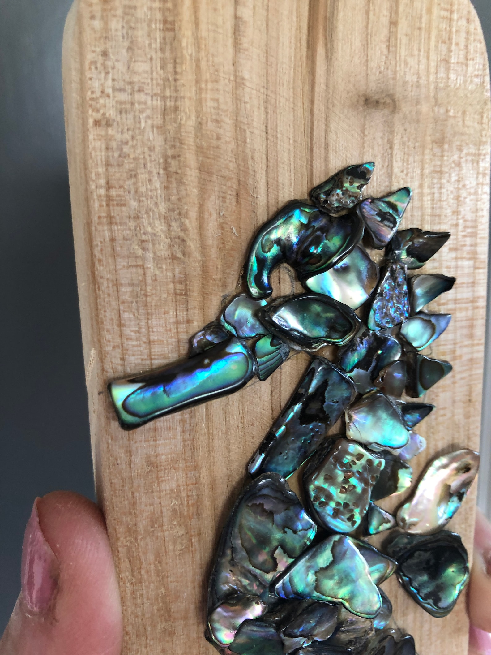 Abalone Shell Seahorse en madera colgante de pared mágico Etsy