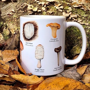 Mushroom Mug - Edible Species Mushroom Cottage Core Decor image 2