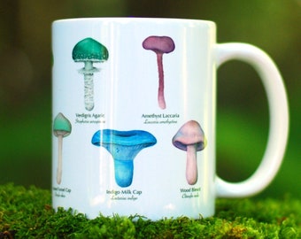 Mushroom Mug - Rainbow Mushroom Species