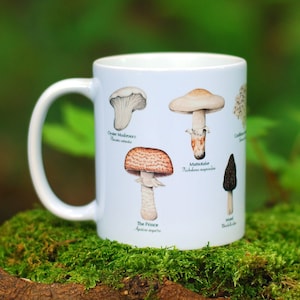 Mushroom Mug - Edible Species Mushroom Cottage Core Decor