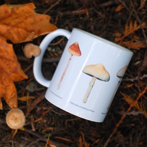 Magic Mushroom Mug Psilocybe Species image 2