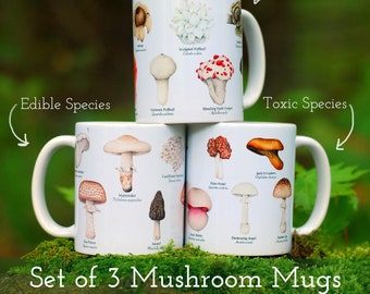 Mushroom Mugs - Set of 3