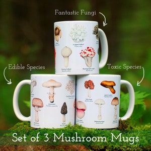 Mushroom Mugs Set of 3 image 1