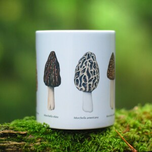 Morel Mushroom Mug image 2
