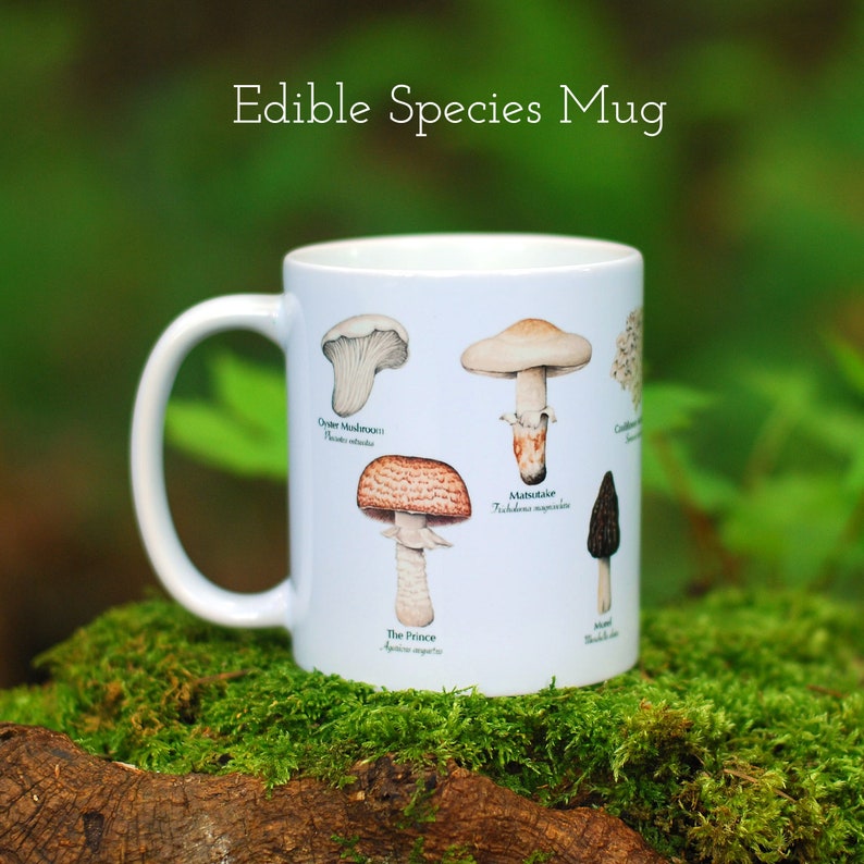 Mushroom Mugs Set of 3 image 2