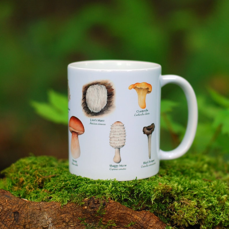 Mushroom Mug - Edible Species Mushroom Cottage Core Decor image 4