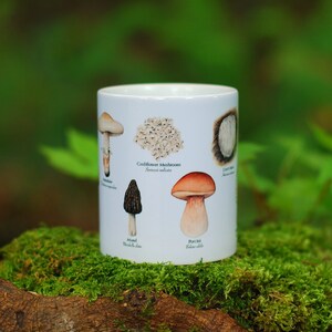 Mushroom Mug - Edible Species Mushroom Cottage Core Decor image 3