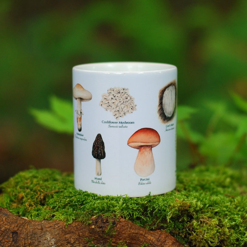 Mushroom Mug - Edible Species Mushroom Cottage Core Decor image 3