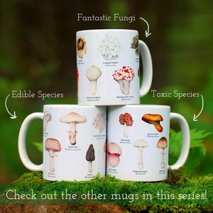 Mushroom Mug - Edible Species Mushroom Cottage Core Decor image 8