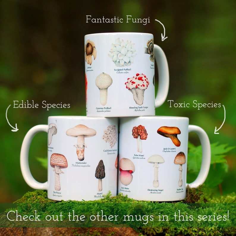 Mushroom Mug - Edible Species Mushroom Cottage Core Decor image 8