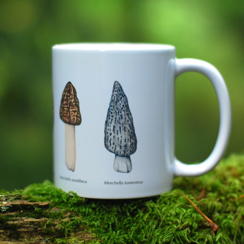 Morel Mushroom Mug image 3