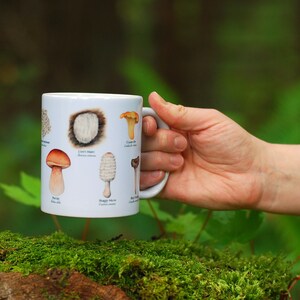 Mushroom Mug - Edible Species Mushroom Cottage Core Decor image 6