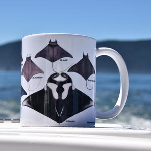Majestic Manta Rays Mug