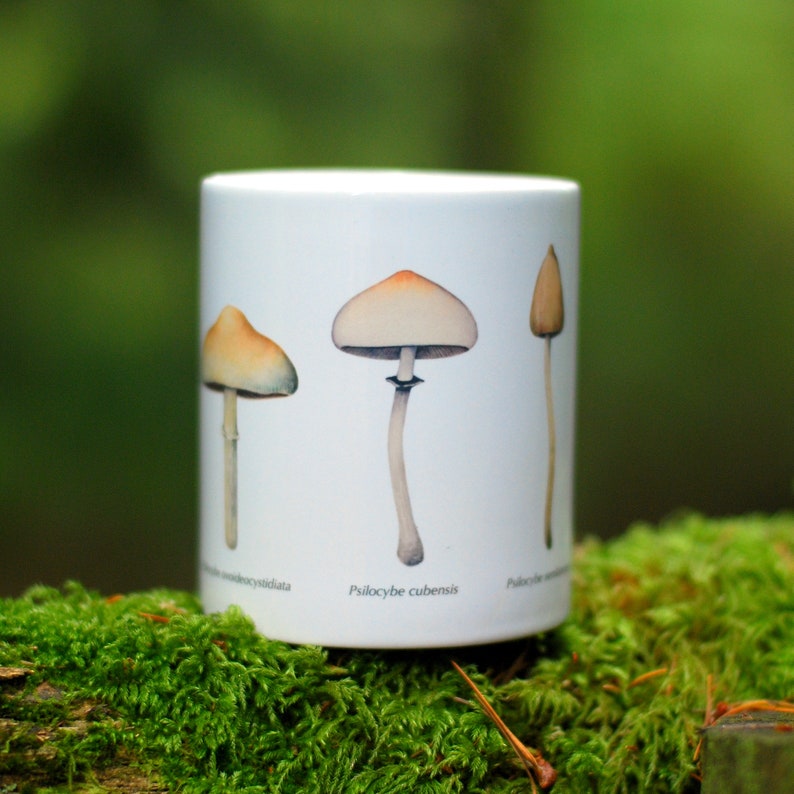 Magic Mushroom Mug Psilocybe Species image 3