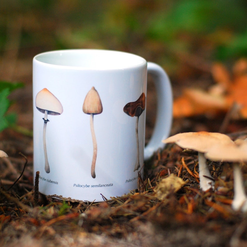 Magic Mushroom Mug Psilocybe Species image 5
