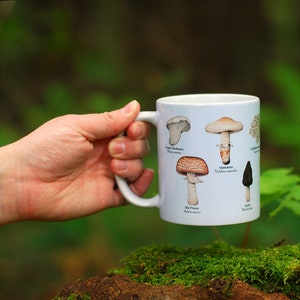Mushroom Mug - Edible Species Mushroom Cottage Core Decor image 5