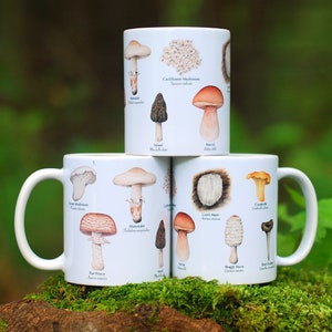 Mushroom Mug - Edible Species Mushroom Cottage Core Decor image 7