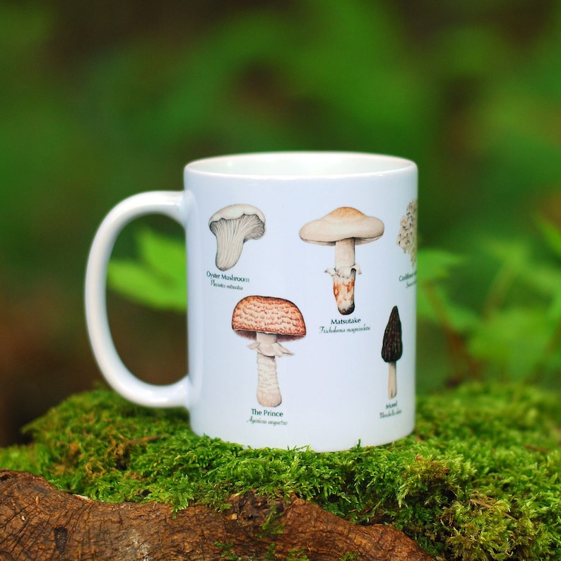 Mushroom Mug - Edible Species Mushroom Cottage Core Decor image 1