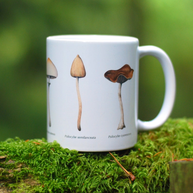 Magic Mushroom Mug Psilocybe Species image 4