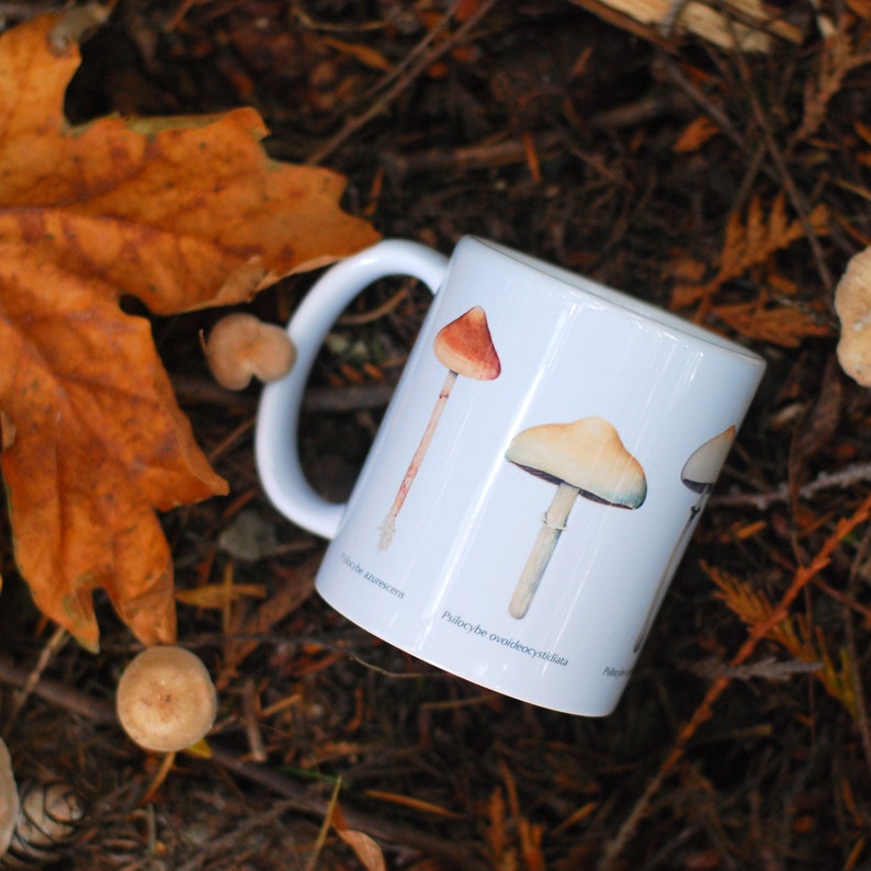 Magic Mushroom Mug Psilocybe Species image 2