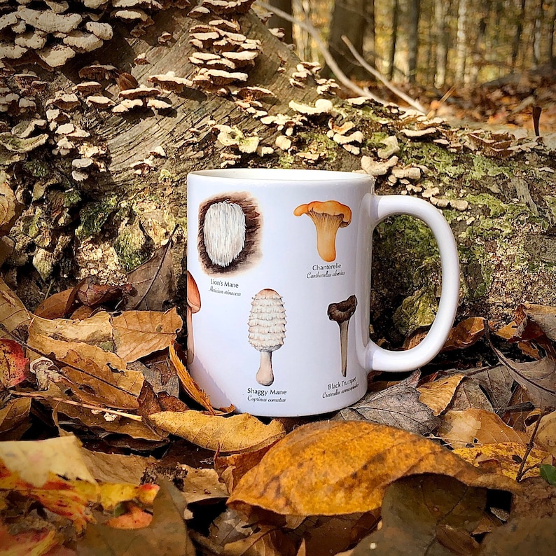 Mushroom Mug - Edible Species Mushroom Cottage Core Decor image 2