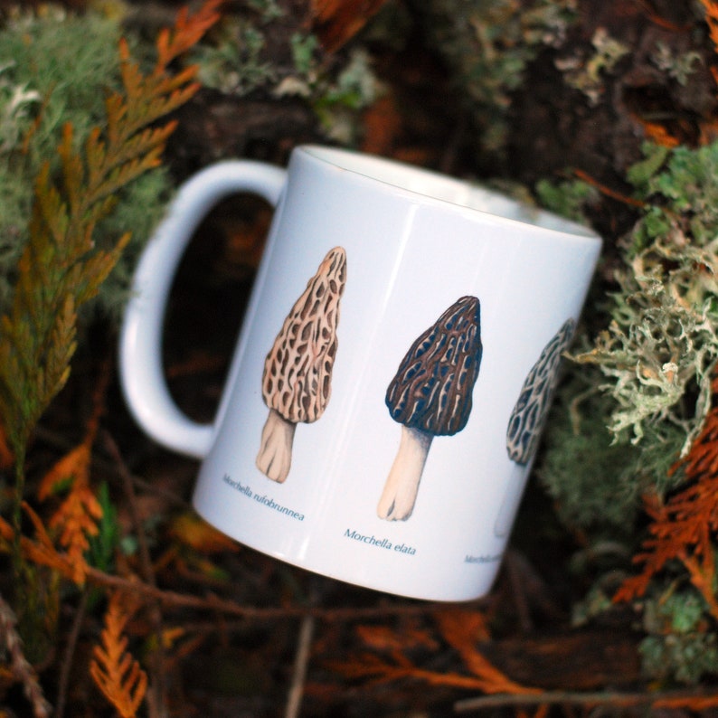 Morel Mushroom Mug image 4