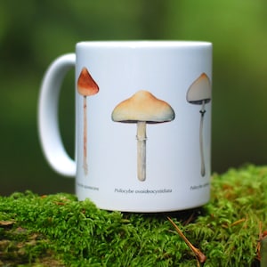 Magic Mushroom Mug Psilocybe Species image 1