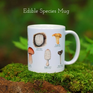 Mushroom Mugs Set of 3 image 4