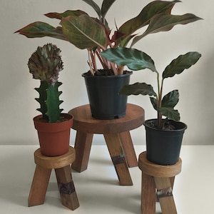 Plant stand with epoxy resin detail - Large size