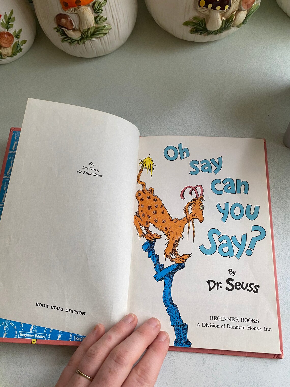 Vintage Oh Say Can You Say Dr Seuss Etsy Vintage oh say can you say dr seuss etsy