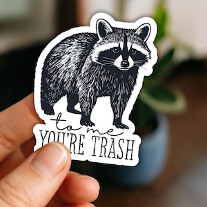Raccoon Sticker, To Me You&#39;re Trash, Cute Funny Raccoon Sticker Decal, Trash Panda, Funny Friend Gift