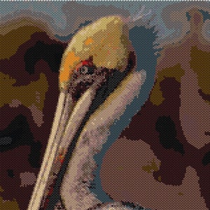 May include: A close-up of a brown and white pelican with its beak closed. The pelican is facing to the right of the image. The background is a blurry brown and green pattern.