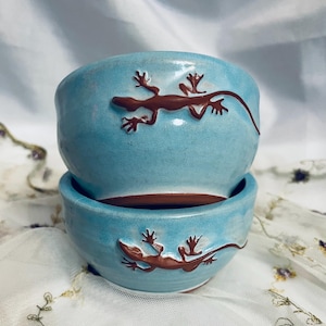 May include: Two stacked, handmade ceramic bowls. The bowls are a light blue with a brown lizard design on the exterior. The interior of the bowls is brown. The bowls are sitting on a white surface.