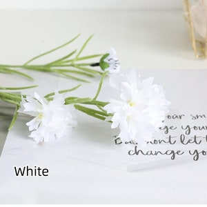 May include: A bunch of white artificial flowers with green stems. The flowers are arranged on a white surface with the word "White" written below them.