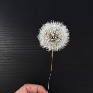 永遠のタンポポ、タンポポ、タンポポのセンターピース、ウェディングブーケ、誕生日フラワーアレンジメント、アレンジメントセンターピース、1個