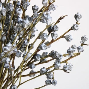 2 Type/Dried Eucalyptus Fruits Bunch,Natural Eucalyptus Branches,Table Decor,Dried Flower Table Decorations,Dried Flower Bunch,Wedding