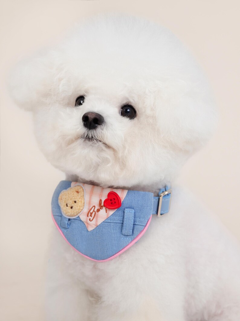 May include: A white Bichon Frise dog wearing a blue and pink bandana with a bear and heart applique. The bandana has the word "Baby" embroidered on it.