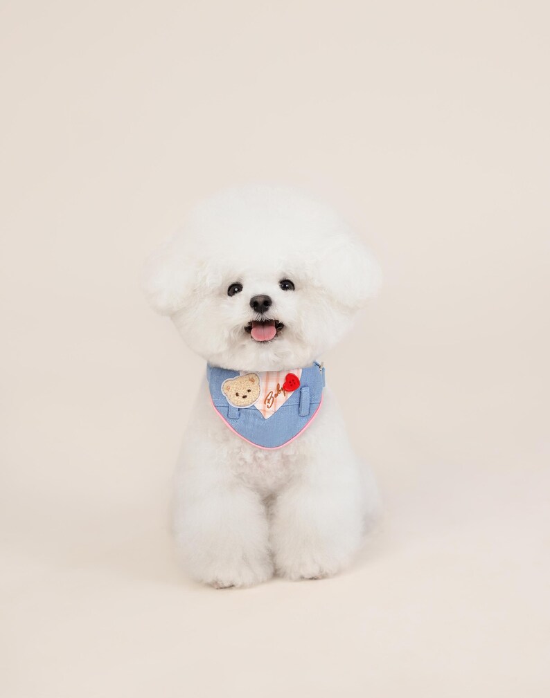May include: A white Bichon Frise dog wearing a blue denim bandana with a pink trim and a small embroidered bear and heart design.