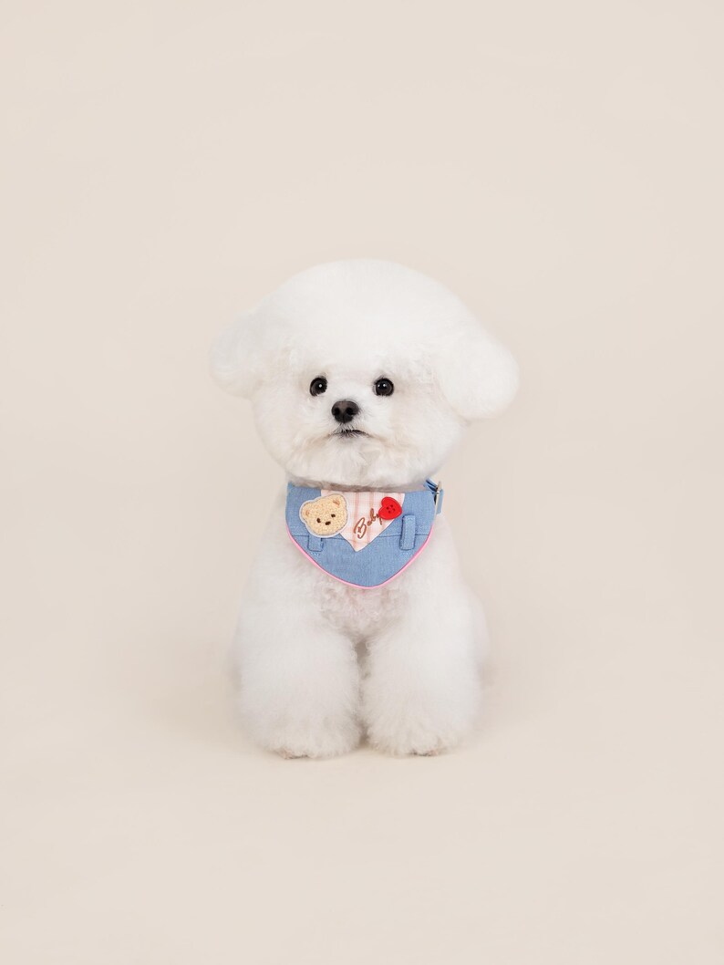 May include: A white dog wearing a blue denim bandana with a pink trim and a small bear applique. The bandana has the word "Baby" embroidered on it.