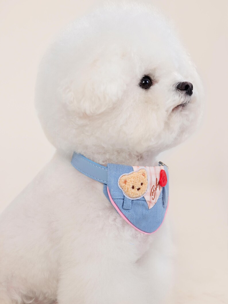 May include: A white dog wearing a blue denim bandana with a pink trim. The bandana has a small embroidered bear and the word "Boh" on it.