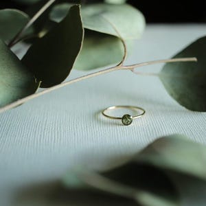 Eucalyptus Ring - Gold Filled - No Tarnish - Waterproof - Botanical Jewelry - Minimalist - Gifts for Her - Stackable Band - Christmas Gifts