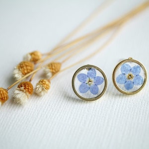 May include: A pair of gold-toned earrings with a blue forget-me-not flower pressed inside each earring.